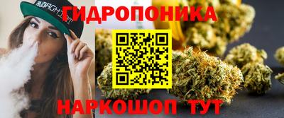 сатива Краснокаменск