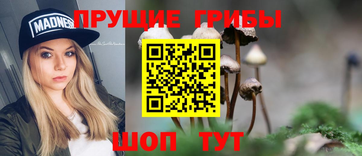 Джанкой  Псилоцибиновые грибы мухоморы  Галлюциногенные грибы мухоморы  Вход с VPN 